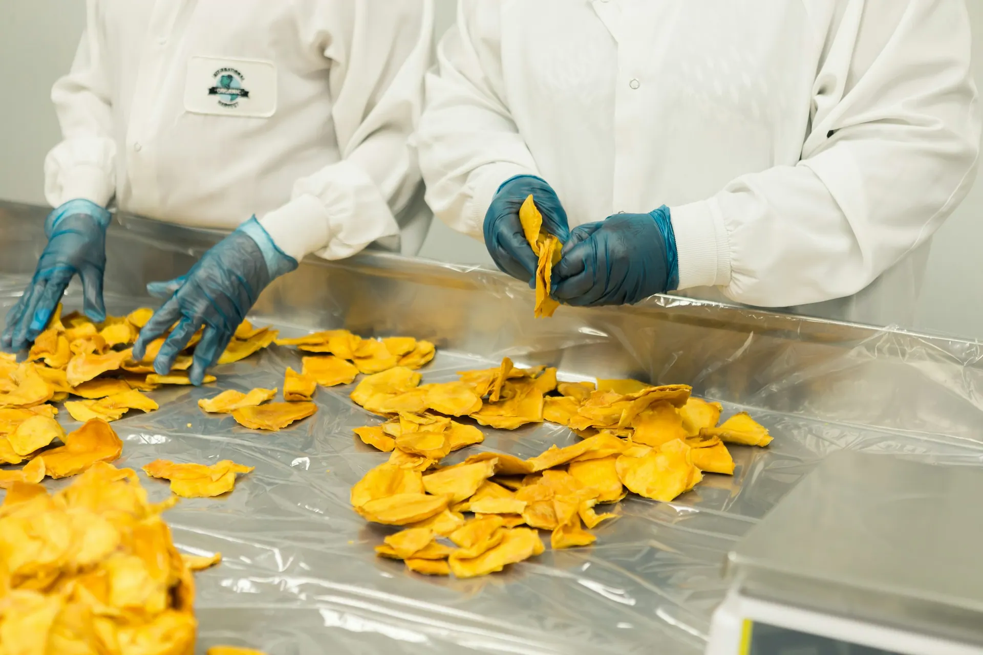 Gloved hands processing mango slices (illustrative)